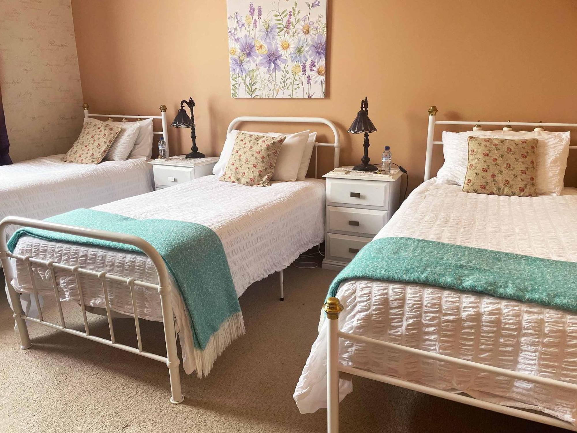 Stony Rise Cottage B&B เดวอนพอร์ต ภายนอก รูปภาพ